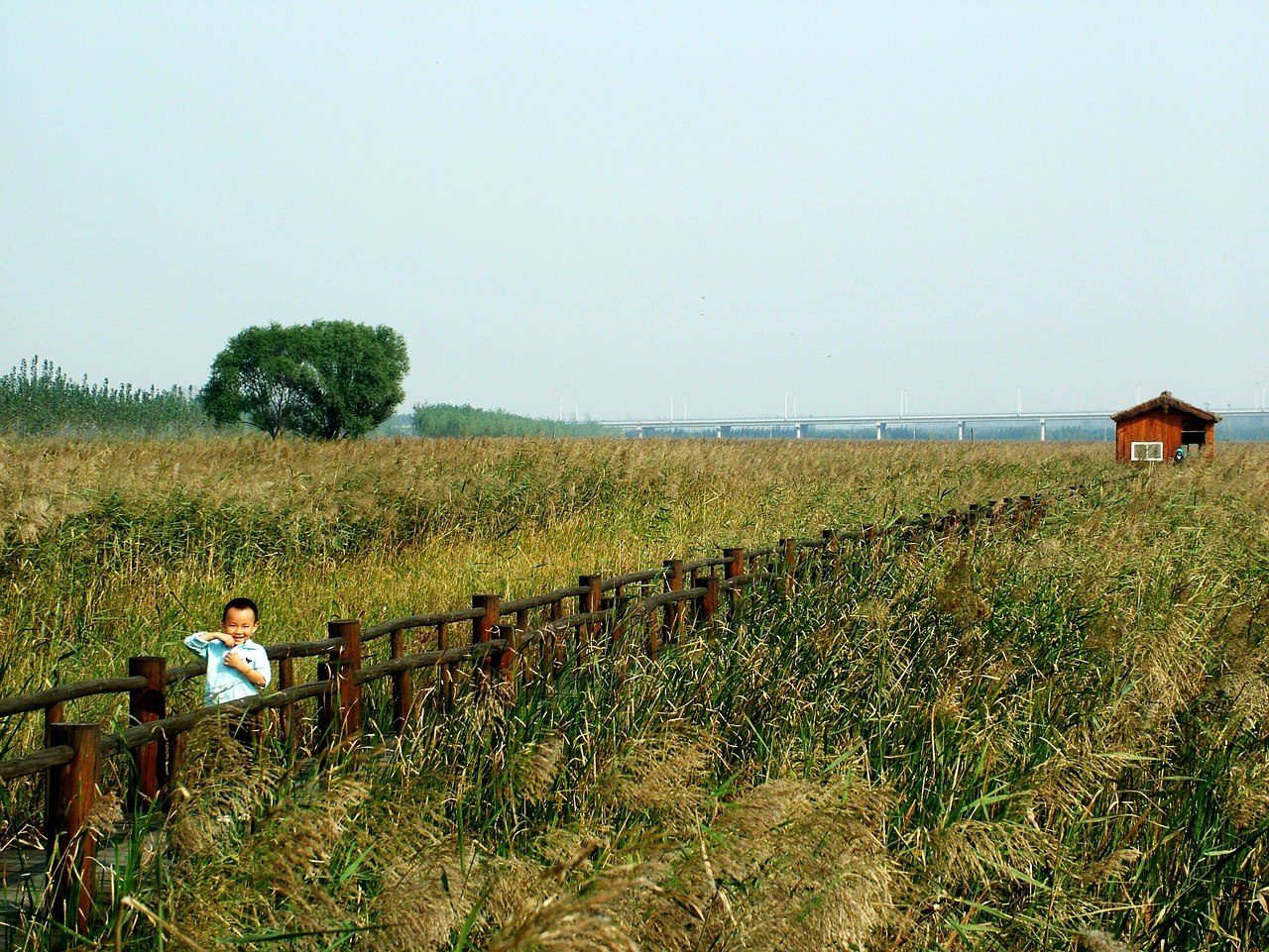 chen bridge yellow river wetlands free photo