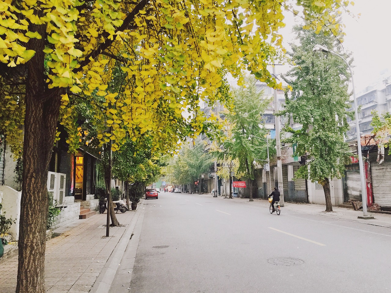 chengdu china street free photo