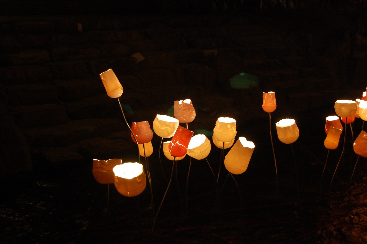 cheonggyecheon stream world festival lantern free photo