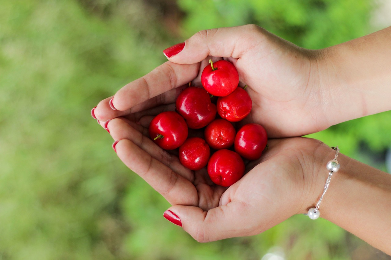 cherries handful red free photo