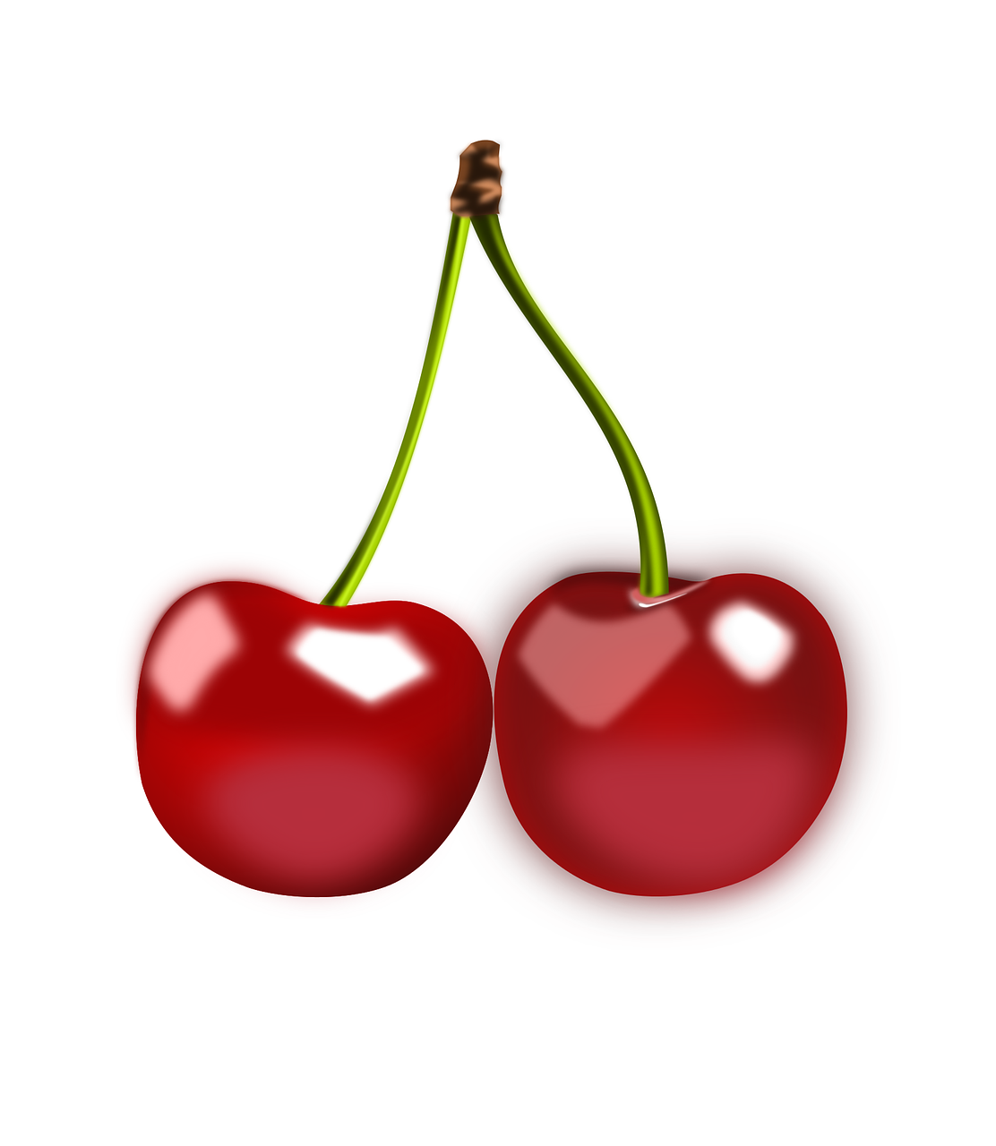 cherries fruits ripe free photo