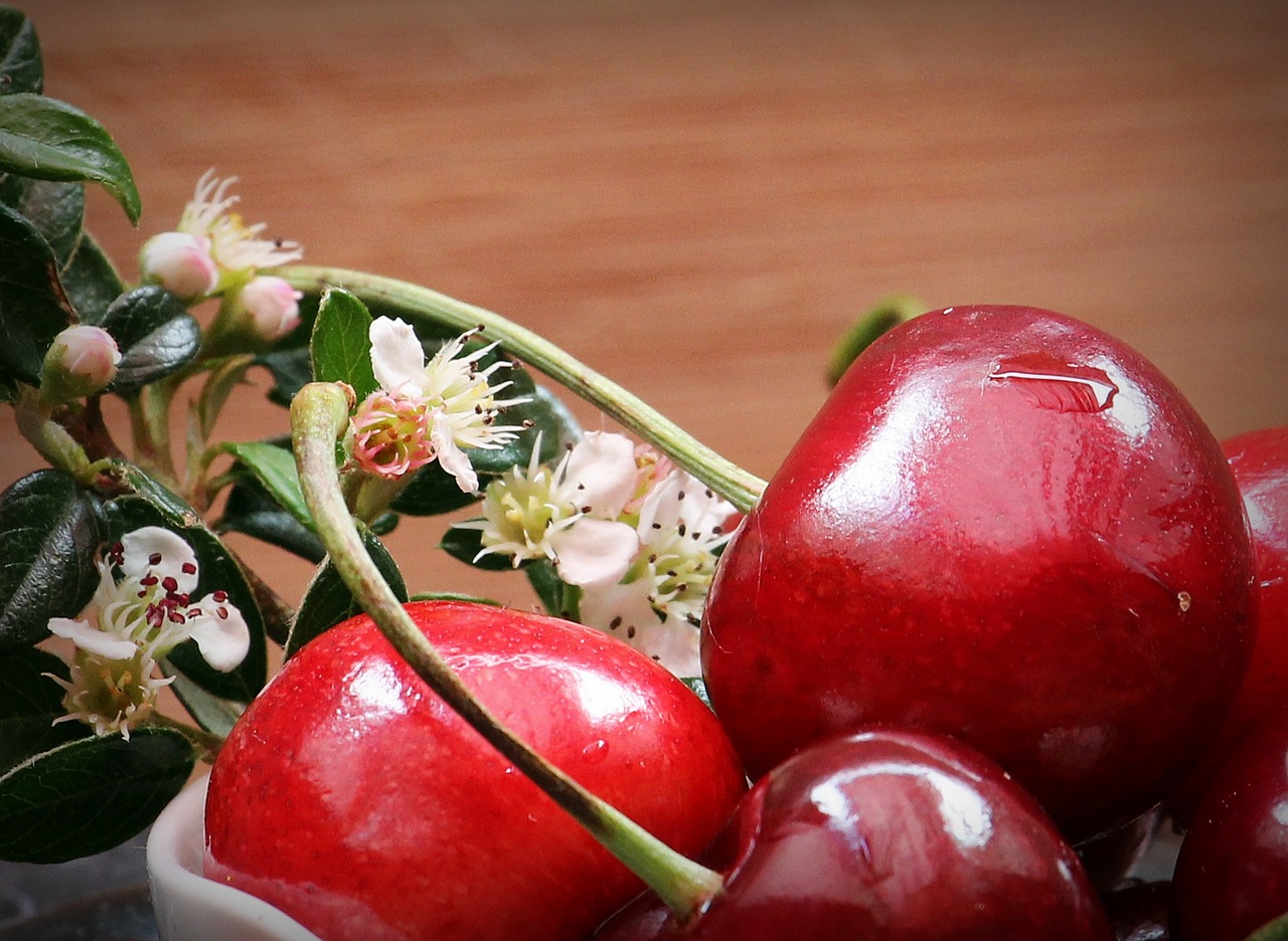 cherries fruits fruit free photo