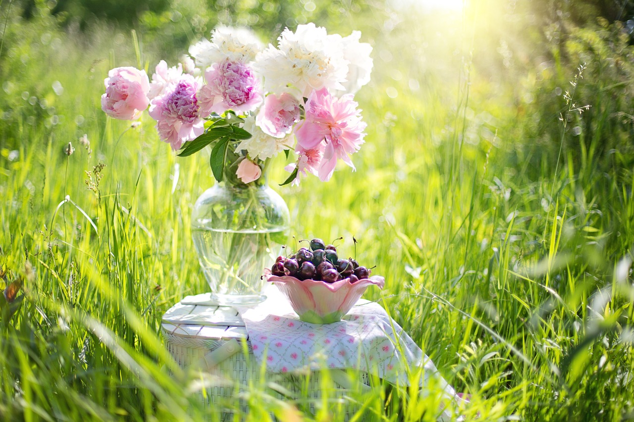 cherries peonies pink free photo