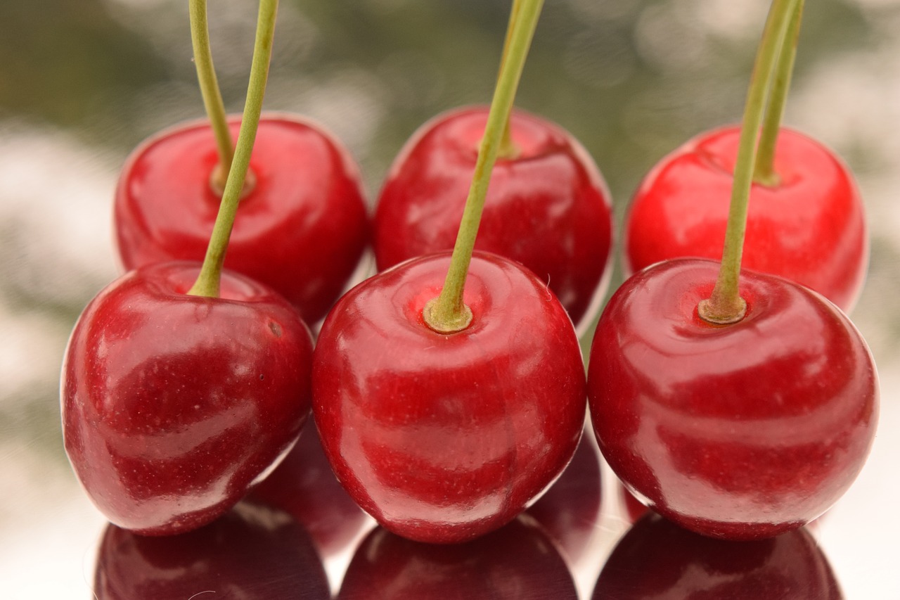 cherries close mirroring free photo