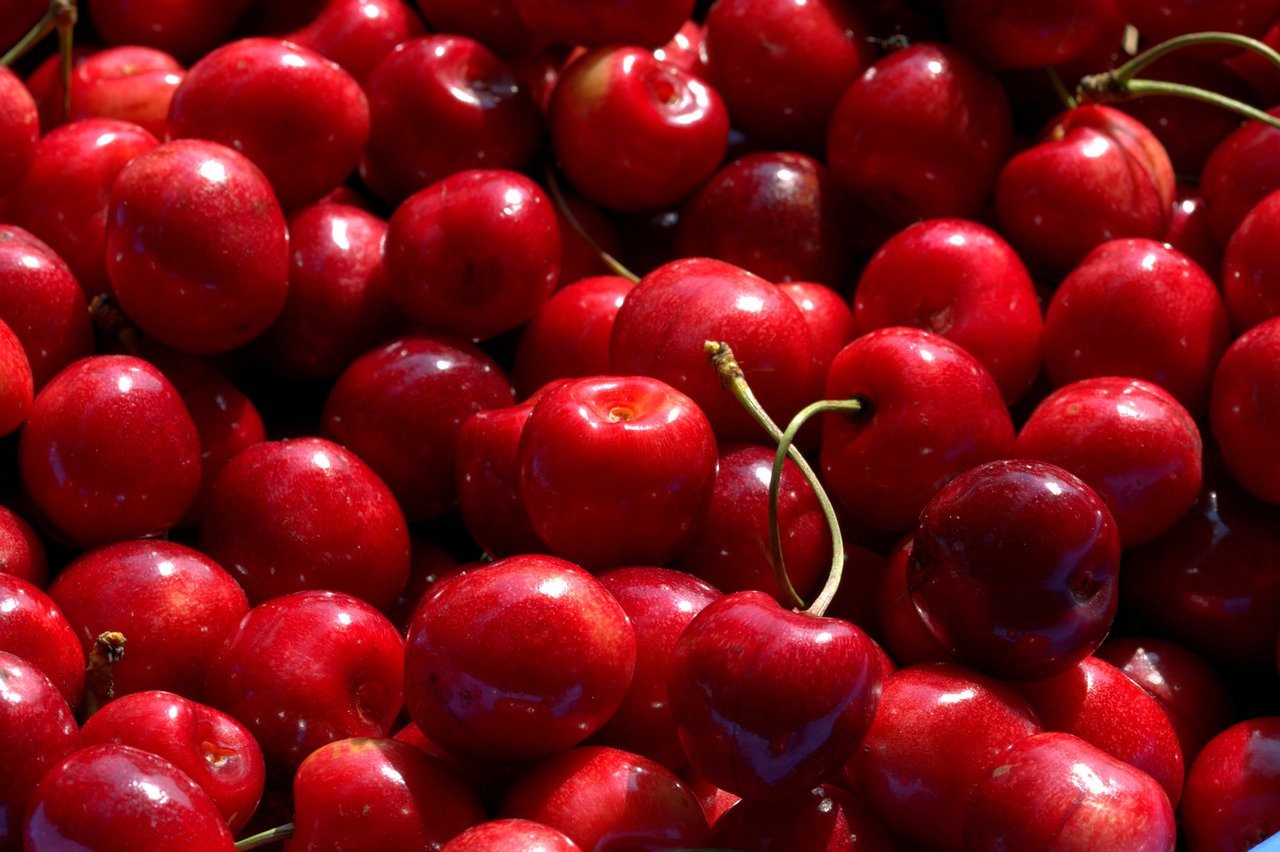 cherries fruit tree fruit free photo