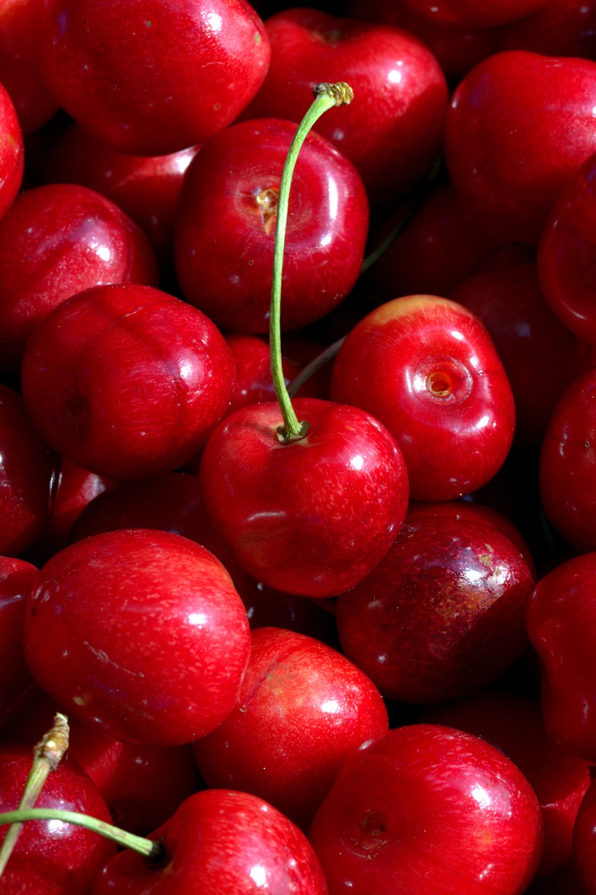 cherries fruit fruits free photo