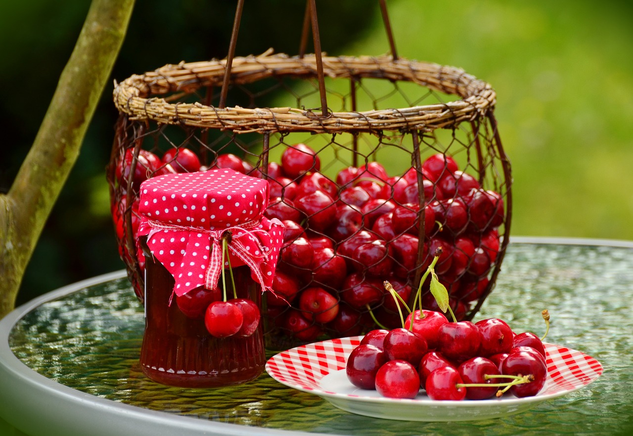 cherries fruits sweet cherry free photo