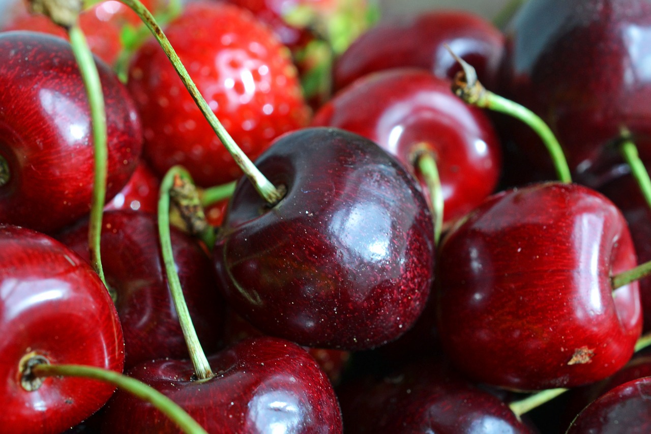 cherries fruit fruit basket free photo