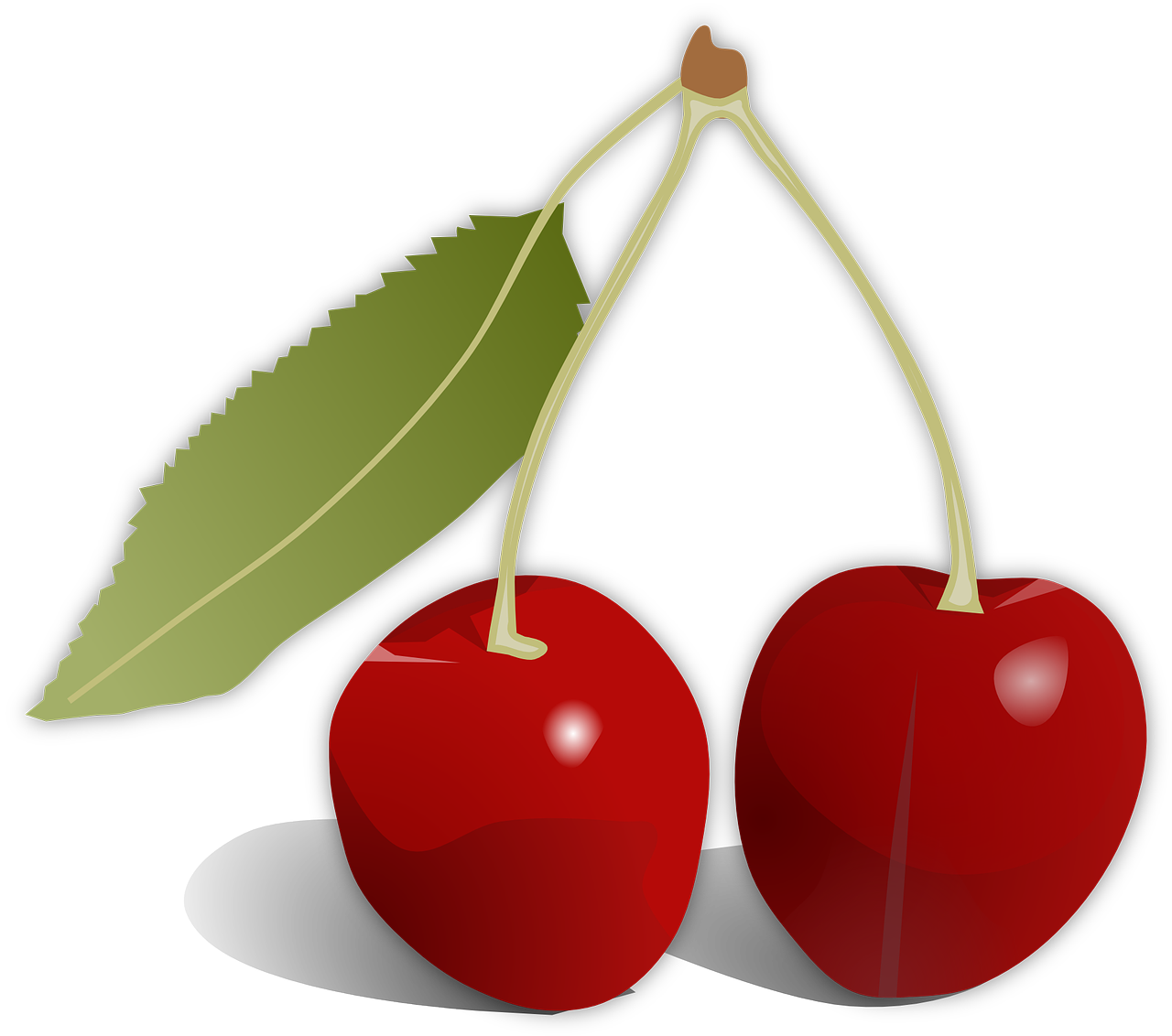 cherries leaf fruit free photo