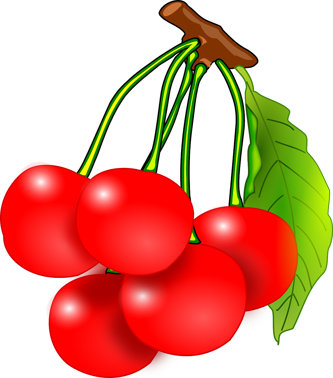 cherries fruits red free photo