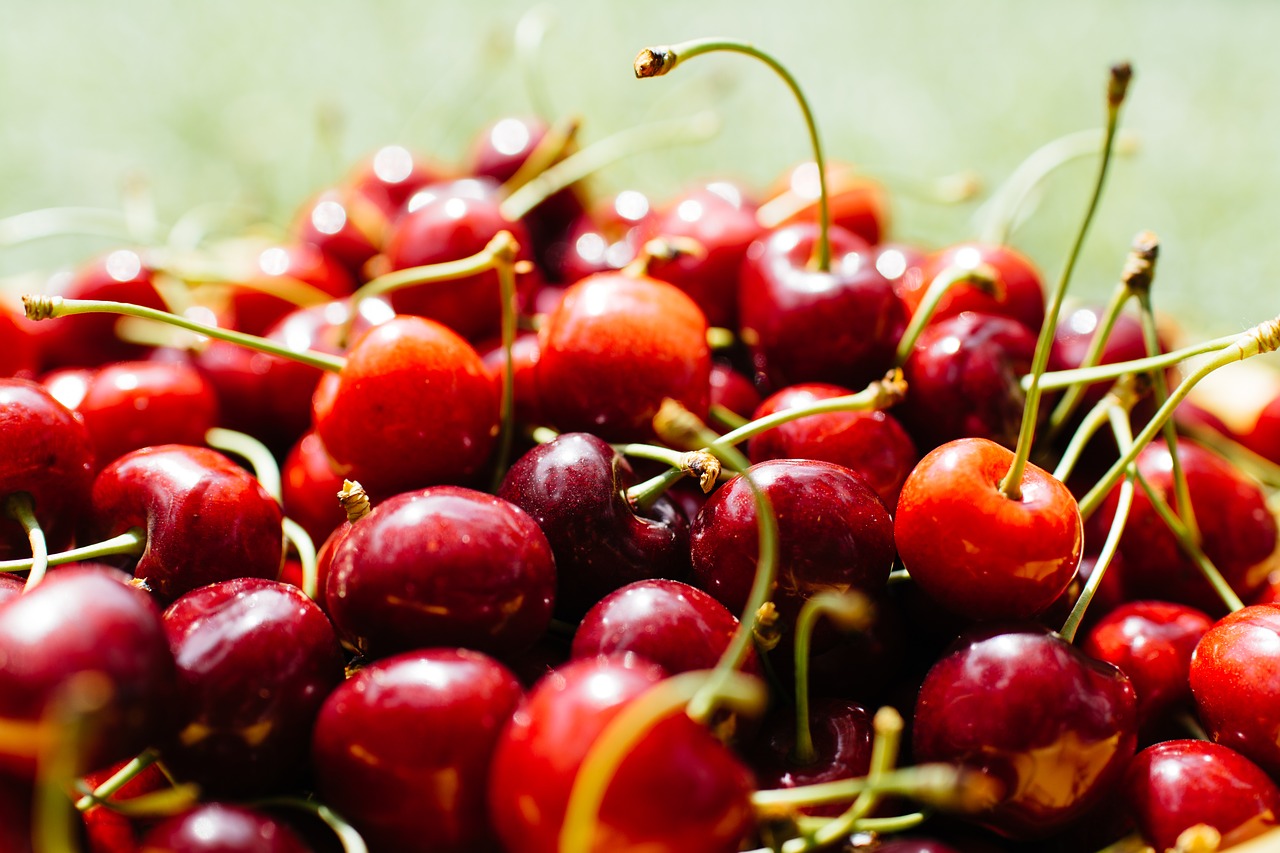 cherries food fruits free photo