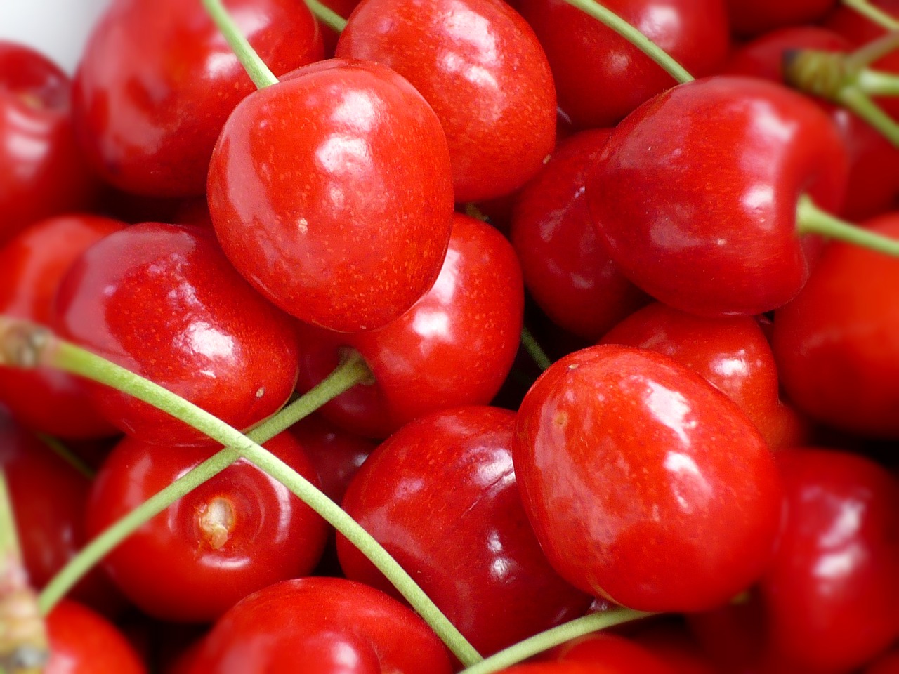 cherries fruit red free photo