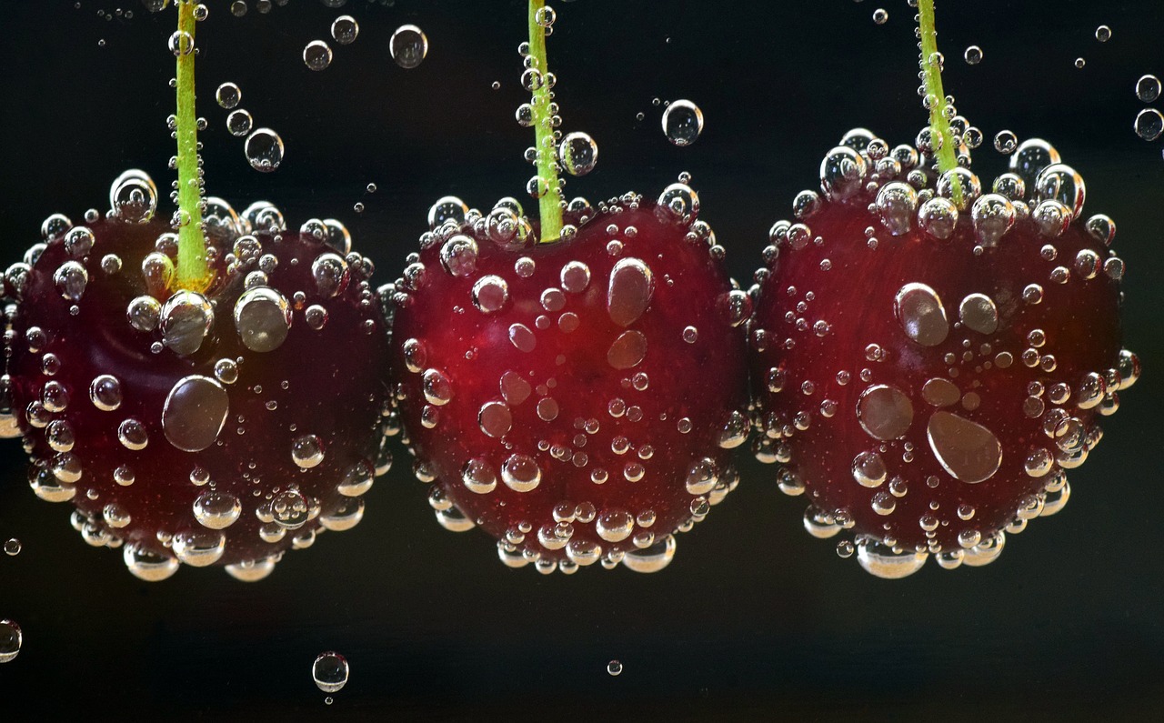 cherries red about free photo