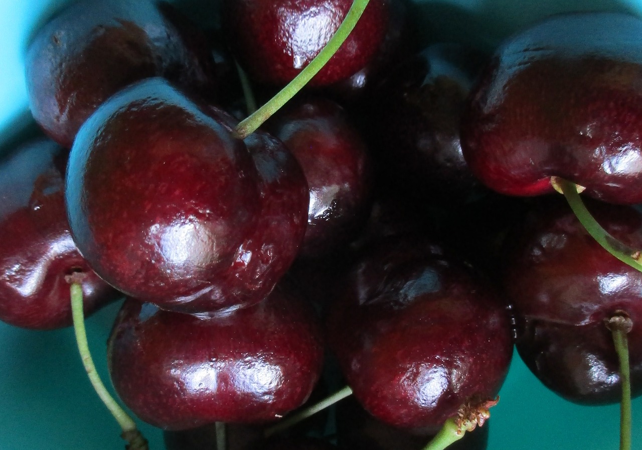 cherries red berries moreller free photo