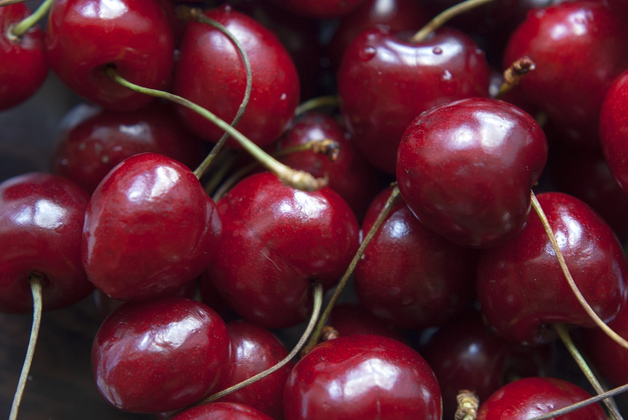 cherries fruit vegan free photo