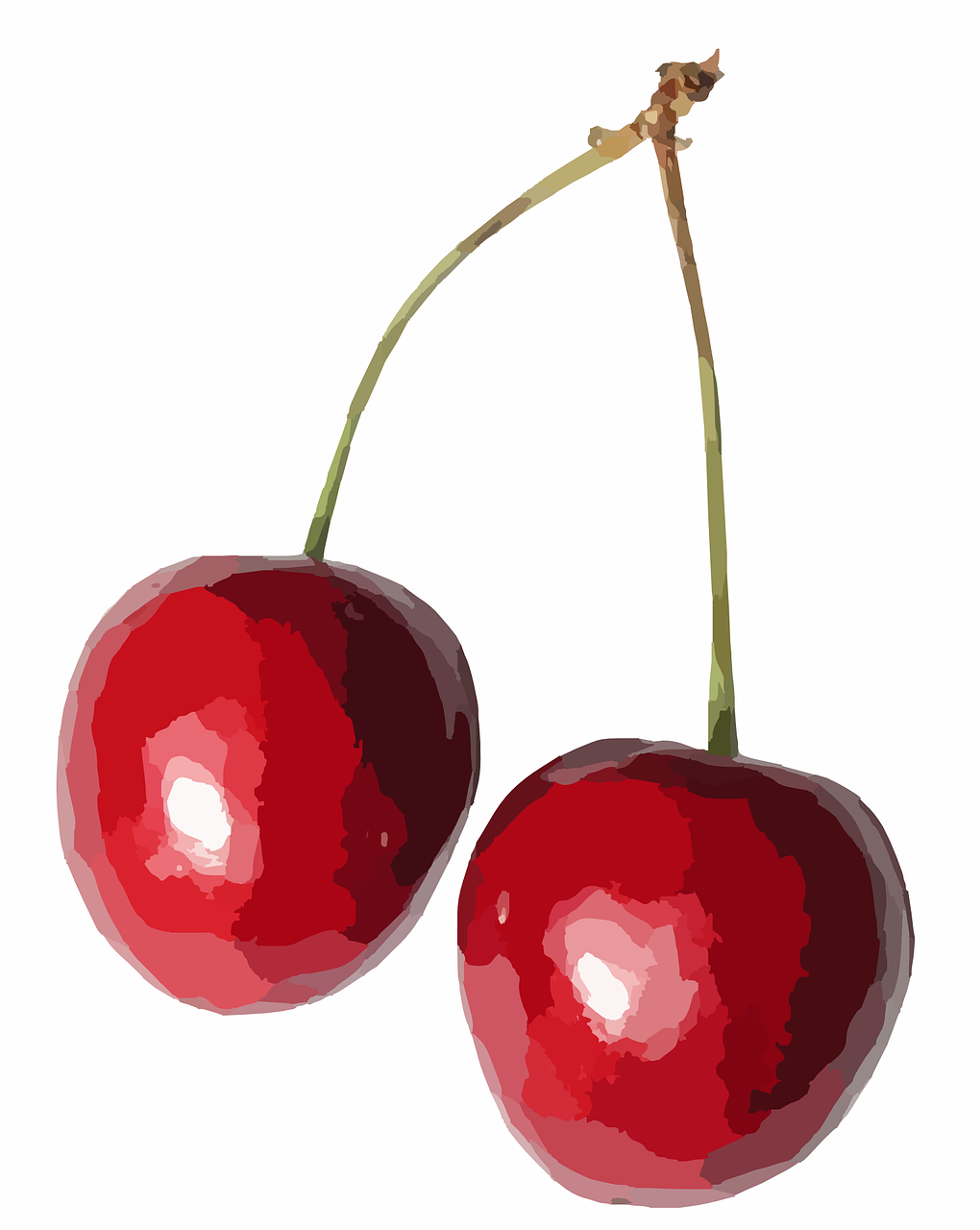 cherries food fruit free photo