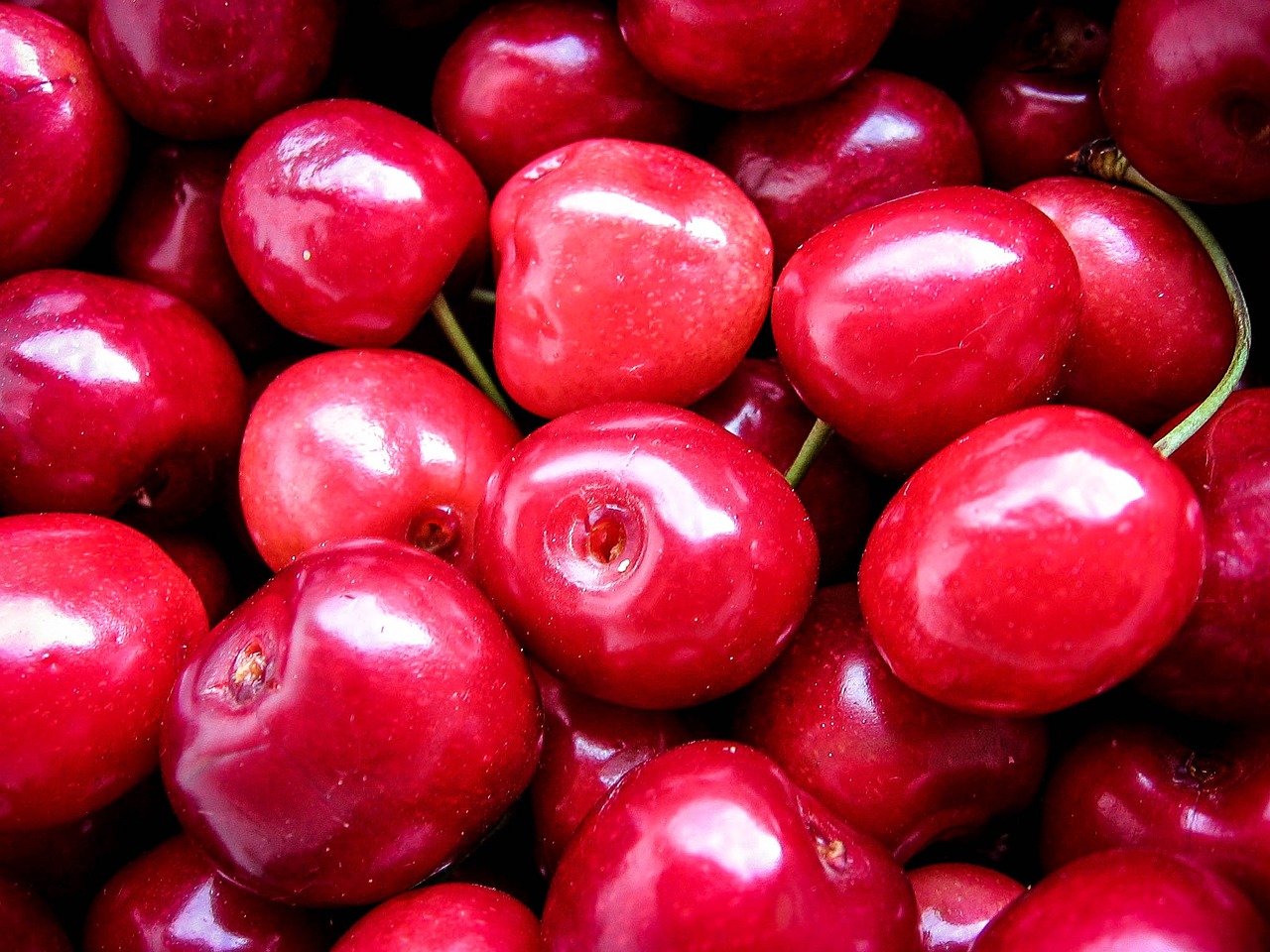 cherries fruits red free photo