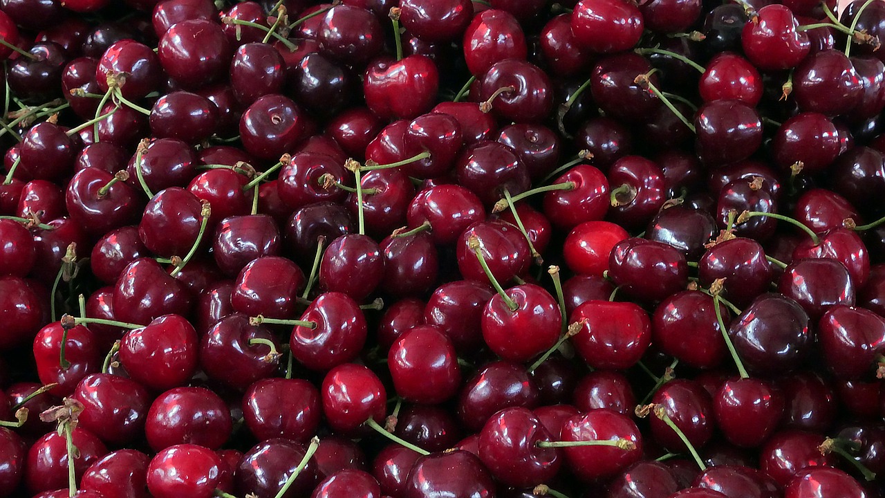 cherries  fruit  market free photo