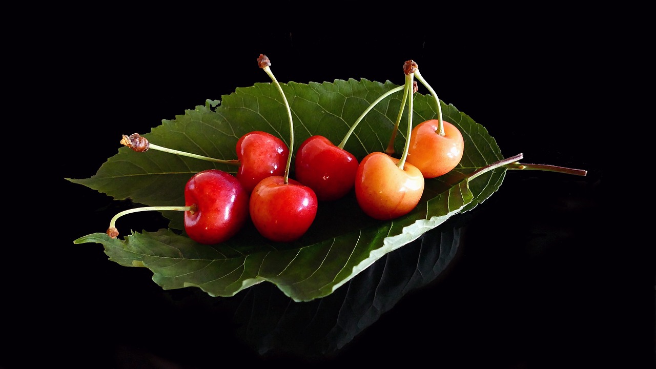 cherries  glass cherries  fruits free photo