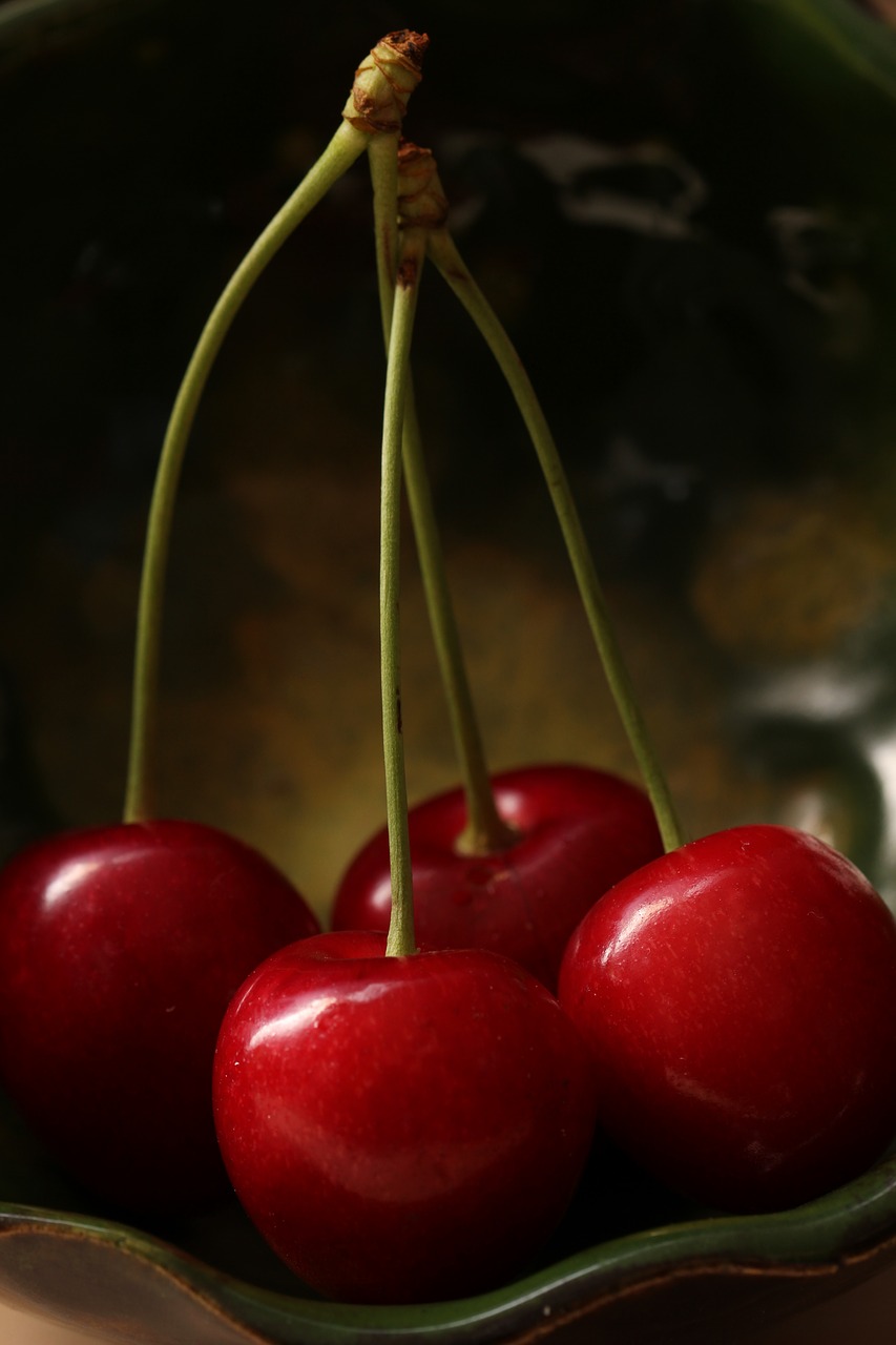 cherries  fruit  ripe free photo