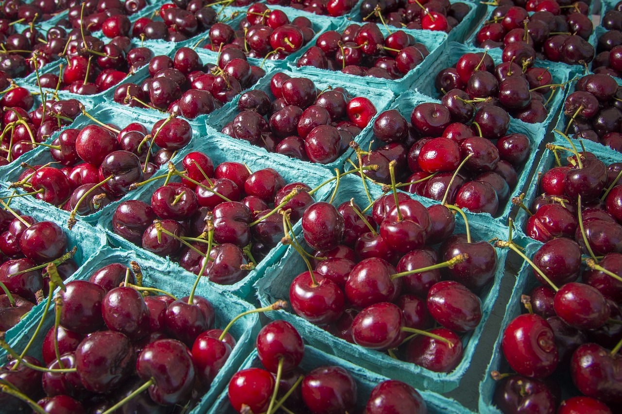 cherries  fruit  food free photo