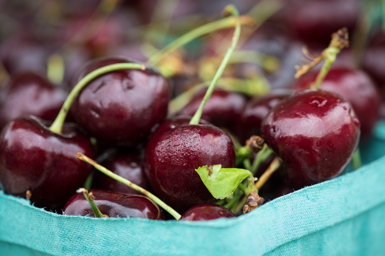 cherries  fresh  fruit free photo