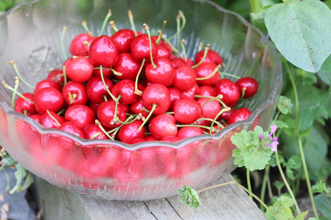 cherries  love  fruit free photo