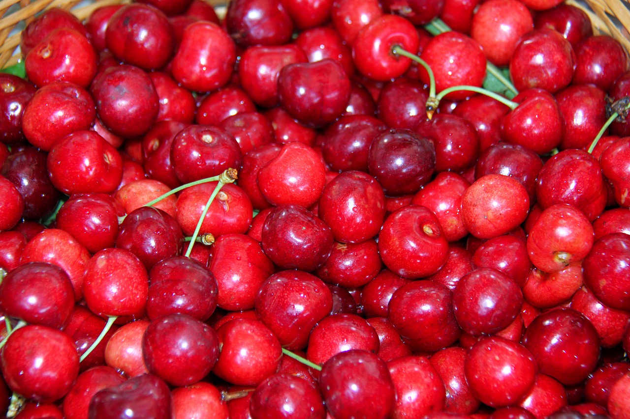 cherries  fruit  garden free photo