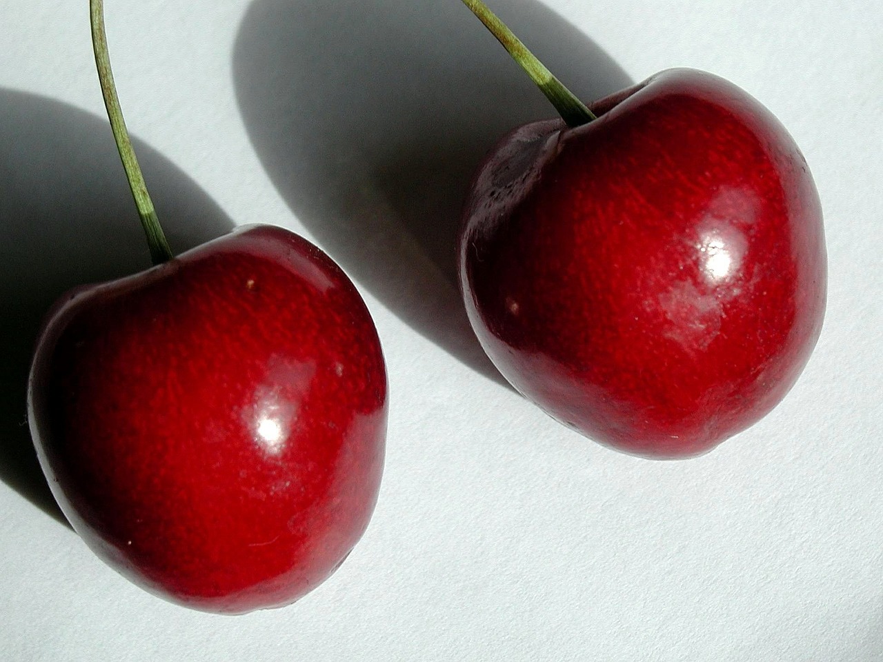 cherries close up macro free photo