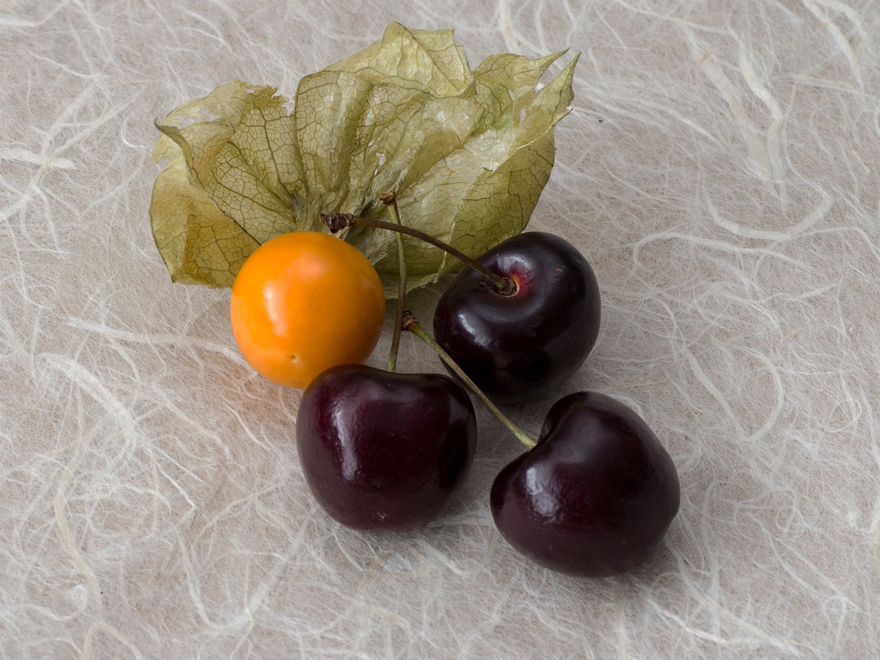 cherries physalis macro free photo