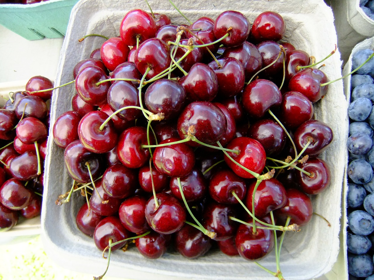 cherries fruit red free photo