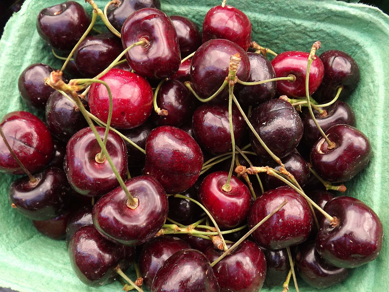 cherries red fruit free photo