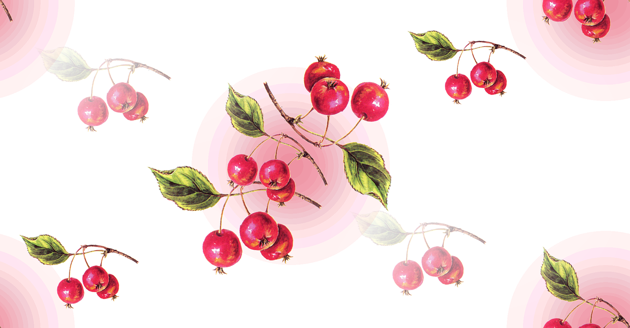 cherries the background fruit free photo