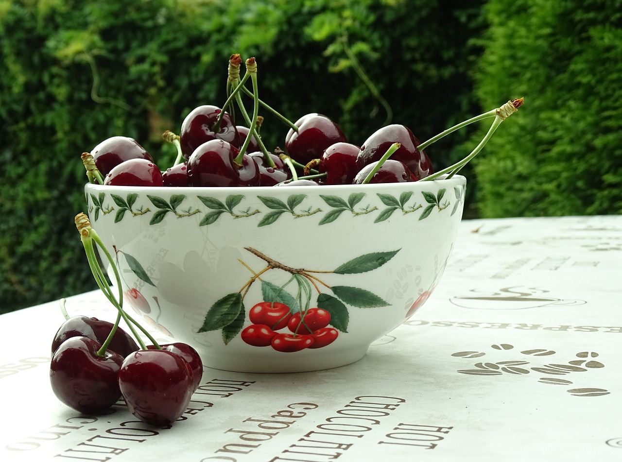 cherries garden frisch free photo