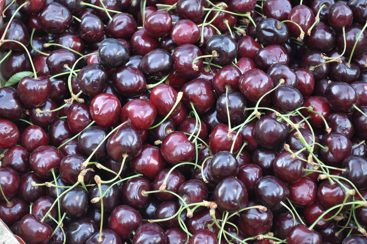 cherries fruit vitamins free photo