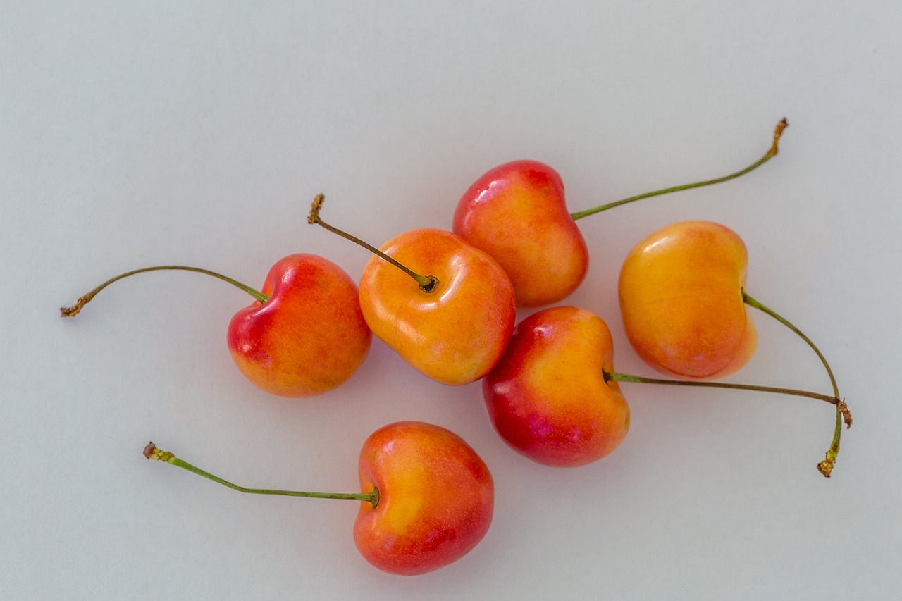 cherries fruit fresh free photo