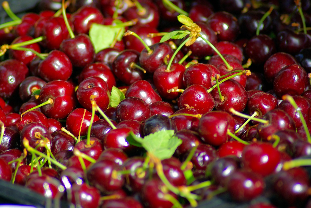 cherries at the town square  cherries  farmers free photo