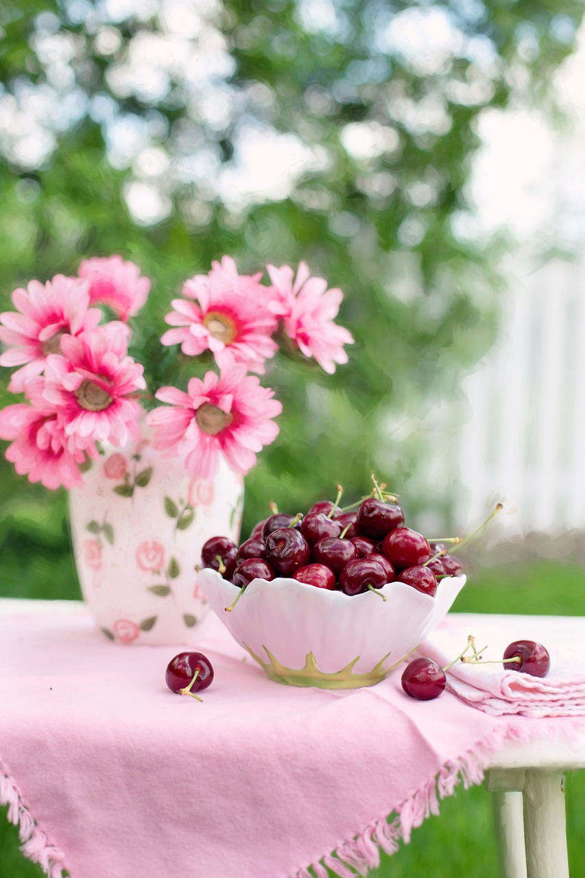 cherries in a bowl fruit summer free photo