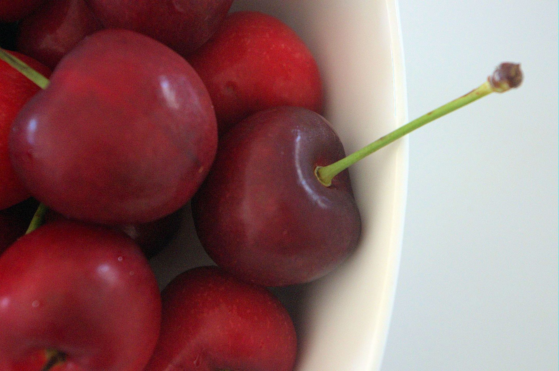 cherries bowl red cherry free photo