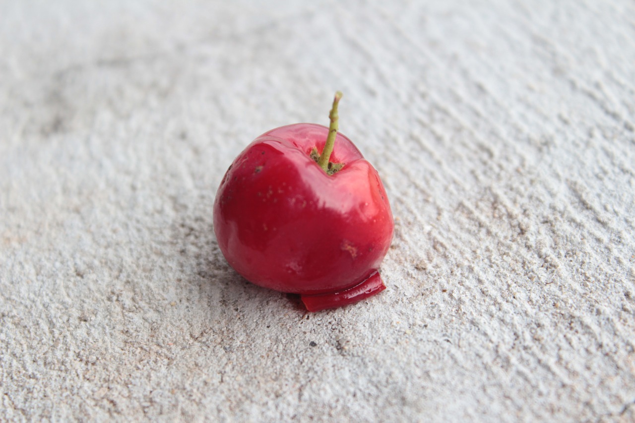 cherry fruit red free photo