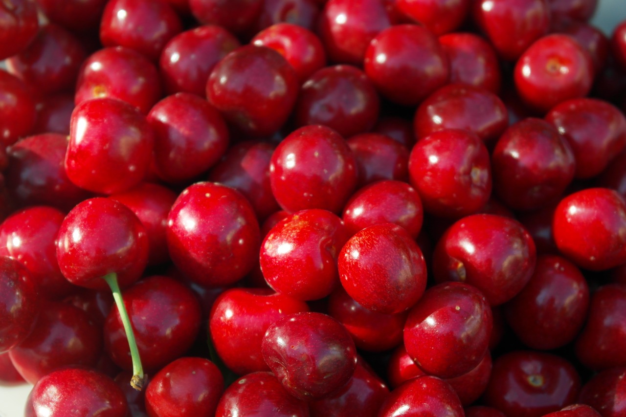 cherry berry tasty free photo