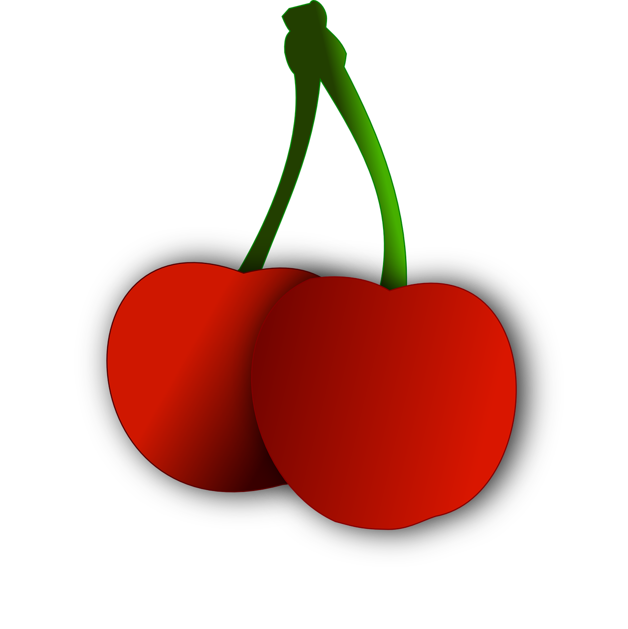 cherry fruit vector image free photo