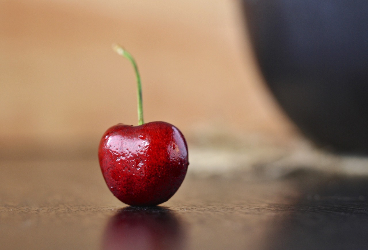 cherry red macro free photo