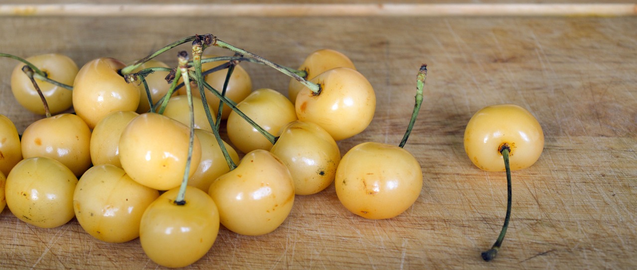 cherry yellow cherries yellow cherry free photo