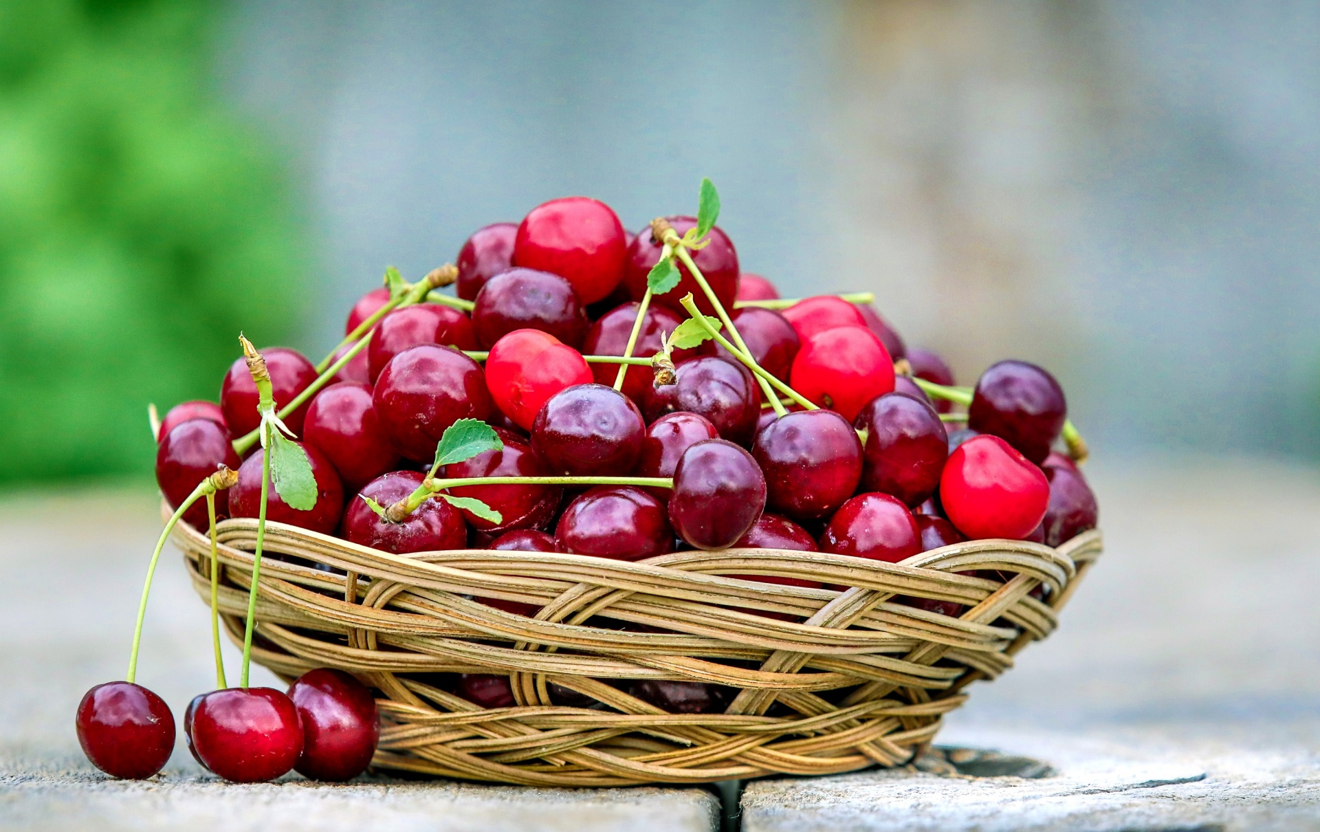 cherry harvest fall free photo