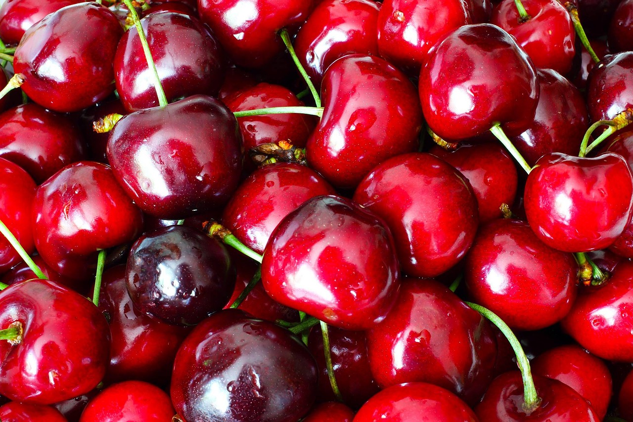 cherry food red free photo