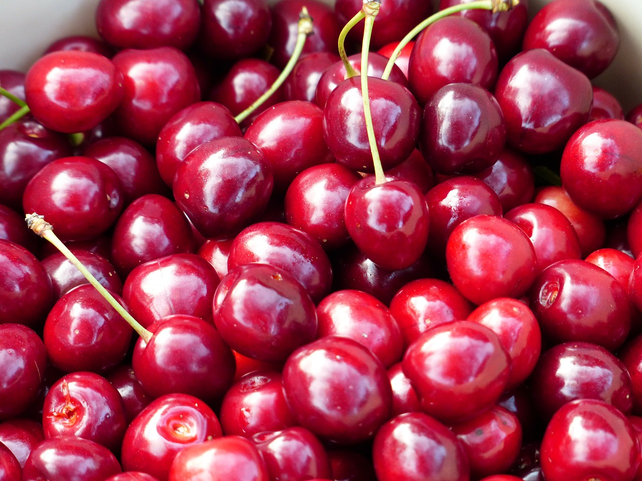 cherry sweet cherry red free photo