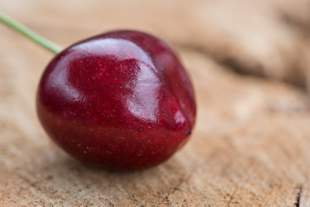 cherry ripe red free photo