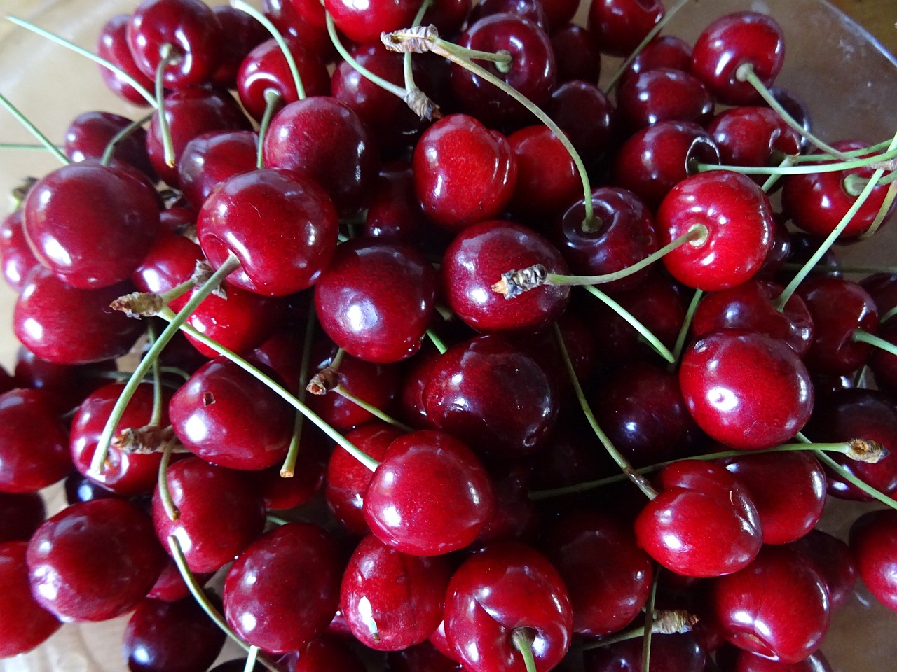 cherry fruit red berries free photo