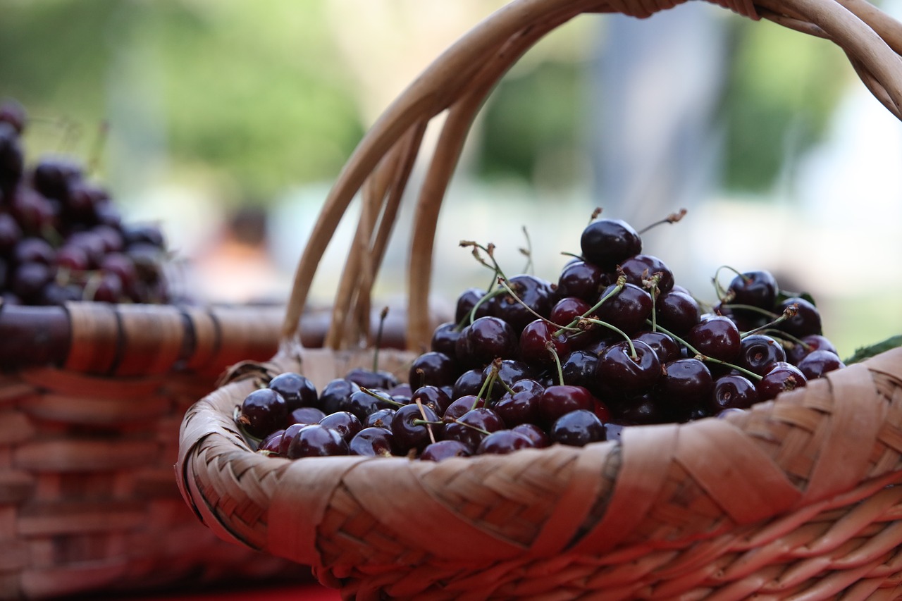 cherry fruit fruits free photo